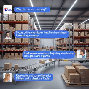चीन से अमेरिका के लिए एयर कार्गो समुद्री फ्रेट फारवर्डर शिपिंग एजेंट - Product Image 3