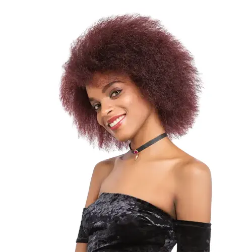 Mongolian Afro kinky Curly Wigs Brazilian Human Hair Short Wigs Vendor Transparent HD Swiss Lace Frontal Wigs for Black Women