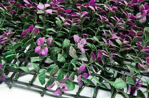 Panneau mural en plastique de haute qualité pour gazon vert, plante artificielle, panneaux de bohémien, plante pour décoration extérieure, 12 pièces - Product Image 3