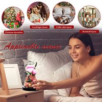 Nouvelles idées de produits 2024 Forever Préservé Roses Dome Valentine Day Merci Anniversaire Anniversaire pour les femmes Femme Petite amie cadeau article