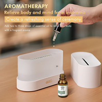 Humidificateur d'air électrique commercial pour hôtel, diffuseur d'arômes d'huiles essentielles noir