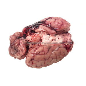 Frozen lamb brain in stock - Product Image 5