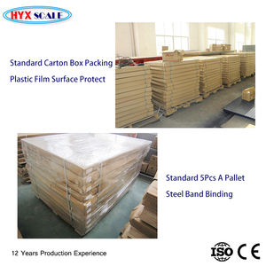 2023 Neue Fabrikpreise Optionaler Yaohua-Typ Industrie-Antik-Kohlenstoffstahl TCS 150Kg LKW-Waage ODM zum Verkauf - Product Image 5