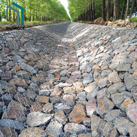 Poulailler hexagonal galvanisé en PVC avec revêtement en gabion Grillage métallique pour chantier de construction Filet de protection des berges de rivière