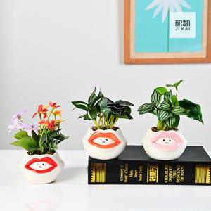 सिरेमिक प्यारा कार्टून पशु रसीला बर्तन हाथ से चित्रित ओपल पांडा व्यक्तिगत रचनात्मक बगीचे बर्तन - Product Image 5