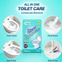 Poudre nettoyante moussante pour toilettes, à la mousse épaisse, adoucit la saleté, favorise le brossage manuel, nettoyage en profondeur, pour hôtels et foyers, marque privée, en vrac