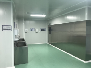 Custom Modular Cleanroom <strong>Air</strong> <strong>Shower</strong> Passbox Automatic <strong>Conveyor</strong> Belt Efficient Purification Equipment Clean Room Brand New