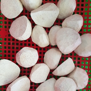 Vietnam Frozen Taro 500 gram / Frozen powder taro 1 Kg/bag <b>for</b> whole sale - Product Image 3
