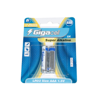 Pile alcaline double A 1,5 V LR6, format AM3 AA, piles sèches pour jouets/ouvrages électriques, jouets éducatifs