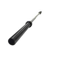 Équipement de gymnastique de 20kg Olimpic Training ez Barbell Straigcurl Barbell Bar,Bench Press Squat Bar Haltérophilie Barbell.