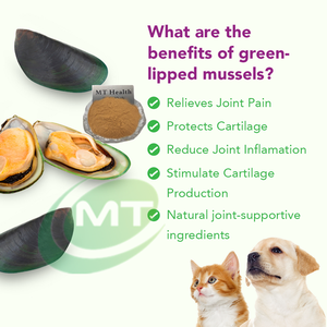 Polvo <span class=keywords><strong>de</strong></span> Extracto <span class=keywords><strong>de</strong></span> <span class=keywords><strong>Mejillón</strong></span> <span class=keywords><strong>de</strong></span> Labio <span class=keywords><strong>Verde</strong></span> <span class=keywords><strong>de</strong></span> <span class=keywords><strong>Nueva</strong></span> <span class=keywords><strong>Zelanda</strong></span> Premium para el Apoyo <span class=keywords><strong>de</strong></span> las Articulaciones y el Sistema Inmunitario - Product Image 3