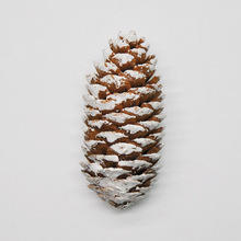 थोक सुंदर स्प्रूस पाइन शंकु सफेद क्रिसमस की पुष्पचक्र सजावट क्रिसमस पार्टी की आपूर्ति - Product Image 6