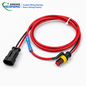定制汽车线束 车辆电缆线束组件 用于汽车电子应用的 PVC 绝缘线束 - Product Image 1