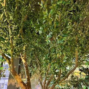 Árbol de <span class=keywords><strong>Olivo</strong></span> Artificial para Decoración de Escaparates de Centros Comerciales, Interior y Exterior, de Pie, Verde Biónico, Simulado - Product Image 4