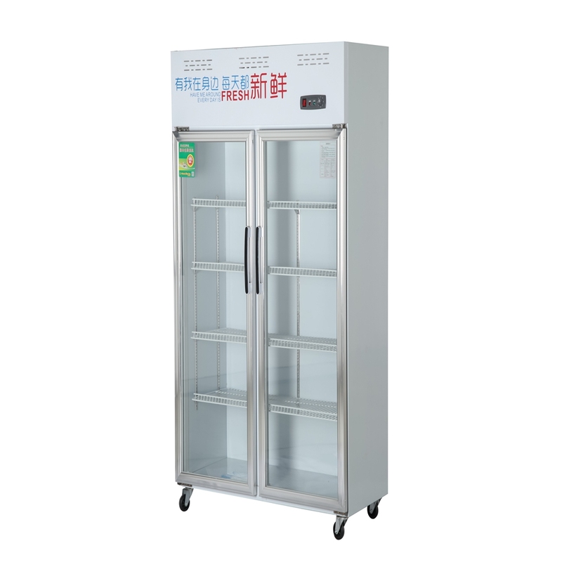 Factory Hot Sale Vertical Commercial Cold