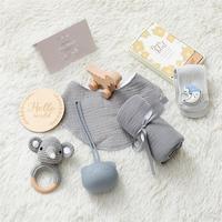 Coffret Cadeau Naissance Transfrontalier pour Bébé : Serviette de Bain en Coton à Motif Animalier, Boîte à Sucette et Jouets – Fabriqué en Chine, Modèle PTZ2480
