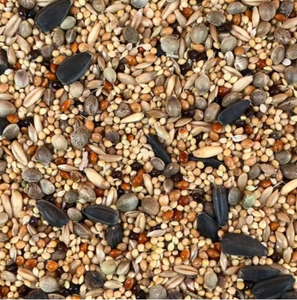 Natural Nutrition Grain-Free Pet Food Blend Health Millet <strong>Seeds</strong> for <strong>Wild</strong> <strong>Birds</strong> Budgerigar Parrot Finch Canary Kittens Puppies - Product Image 2