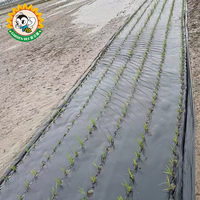 Film de paillage biodégradable pour le sol Garden Bee EN 17033, film plastique compostable pour la culture biologique, certifié DIN