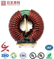 Inducteur toroïdal haute puissance 100A, bobine électronique 220V 12V, amplificateur de classe SMPS, bobine Tesla 3mH