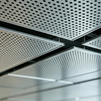 Plafond acoustique perforé en acier galvanisé Q195, panneau suspendu à trous ronds en rangée droite, contrôle du bruit pour bureau et salle de conférence