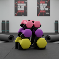 Ensemble d'haltères hexagonales en caoutchouc pour l'entraînement des bras des femmes - Multicolore, poids de gym à domicile personnalisés, prix direct usine