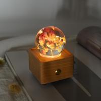 Lovebay Festival cadeaux fleur séchée naturelle vraies fleurs boule de cristal lumière LED haut-parleur puissance Rechargeable pour la décoration de la chambre