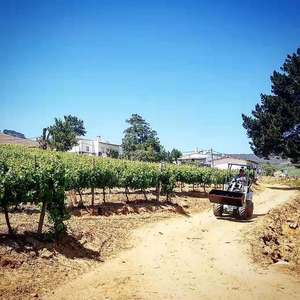 Cargador de ruedas delantero telescópico pequeño, alta calidad, MCM, CL40, a la venta - Product Image 2