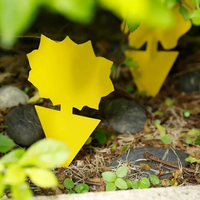 Pièges collants jaunes de forme irrégulière non toxiques et pièges collants pour plantes d'intérieur Piège à colle autocollant jaune