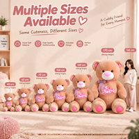 Ours en peluche personnalisé à nœud écossais, broderie sur la poitrine, pour cadeau de Saint-Valentin et fournitures pour fleuristes