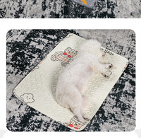 Tapis de sol antidérapant en coton pour animaux de compagnie, tapis de couchage pour chats, chiens, lapins, tapis isolant et chaud pour animaux de compagnie, lavable