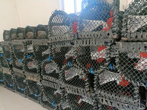 Heavy <strong>Pot</strong> Crab Trap Plastic Coated 10mm Metal Steel Frame for Catching Lobster - Product Image 6