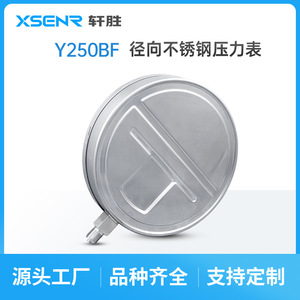 Manómetro de Acero Inoxidable Suzhou Xuansheng Y200 de 250 mm, Precisión 1.6, Conexión Roscada para Calderas de Vapor - Product Image 5
