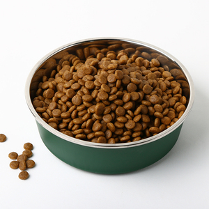 Bol d'alimentation pour animaux de compagnie en acier inoxydable écologique avec base en plastique et bande en caoutchouc antidérapante, bol unique pour les propriétaires de chiens - Product Image 1