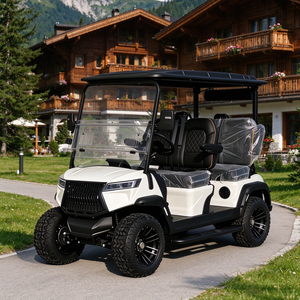 Voiturette de golf électrique 4 places avec pneus de 12/14 pouces pour hôtels et zones touristiques - Product Image 1