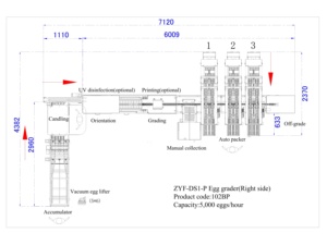 도매 공장 가격 자동 포장기 LED 검란 계란 등급 분류기 판매 - Product Image 4