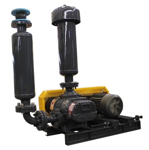 <span class=keywords><strong>Roots</strong></span>-<span class=keywords><strong>blower</strong></span> Haute Capacité 3 psi 45 hp à 2500 tr/min 11 M3/min 50 Kpa Toutes Tailles Offre Spéciale - Product Image 5