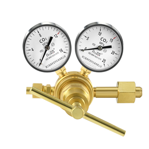 Connessione di ingresso personalizzata W21.8 W21.8-14 6MPa 12MPa 60 120 Bar pressione di uscita regolatore di <span class=keywords><strong>Gas</strong></span> di anidride carbonica per bombola <span class=keywords><strong>CO2</strong></span> - Product Image 1