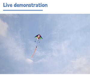 Chuyên Nghiệp Và Chất Lượng Cao Diều Cho Ngoài Trời Có Thể được Tùy Chỉnh Trung Quốc Diều Bán Buôn Từ Trung Quốc Nhà Máy - Product Image 5