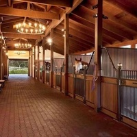 Portes d'écurie pour chevaux en plein air panneau d'écurie pour chevaux