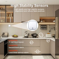 Détecteur de fuite de gaz naturel Tuya Smart Life avec alarme WIFI pour usage domestique