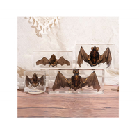 Vraie chauve-souris en résine, objets d'artisanat en résine, insectes préservés dans la résine pour les salles de classe de sciences, kits pédagogiques d'éducation scientifique