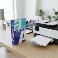 Papier copie RuiSheng A4 double face 80g antistatique lisse sans enchevêtrement pour encre à cire, 1 rame