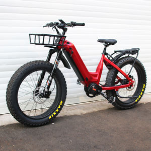 Warthog Hunting Ebike Fat Tire Vélo électrique <span class=keywords><strong>Rohloff</strong></span> <span class=keywords><strong>Moyeu</strong></span> 14 vitesses avec moteur Bafang M630 Entraînement par courroie VTT tout Terrain - Product Image 3