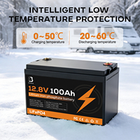 Batterie LiFePO4 à semi-conducteurs BOMAN 12,8 V 100 Ah 1280 Wh, indice de protection IP64, 3000 cycles, pour camping-car, camping, pêche, stockage d'énergie domestique