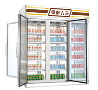 Réfrigérateur vertical commercial à porte vitrée, direct usine, portes avant et arrière, 2 à 8 portes ℃   Réfrigérateur avec éclairage LED pour supermarché