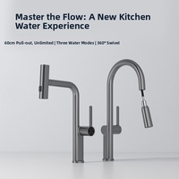 Robinet de cuisine moderne pour hôtel, à poignée unique, avec douchette extractible, modes d'eau multiples, en laiton et céramique, monotrou