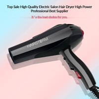 Sèche-cheveux professionnel à ions 3000 watts, sèche-cheveux et coiffeur protecteur, avec accessoire, logo personnalisé, vente chaude