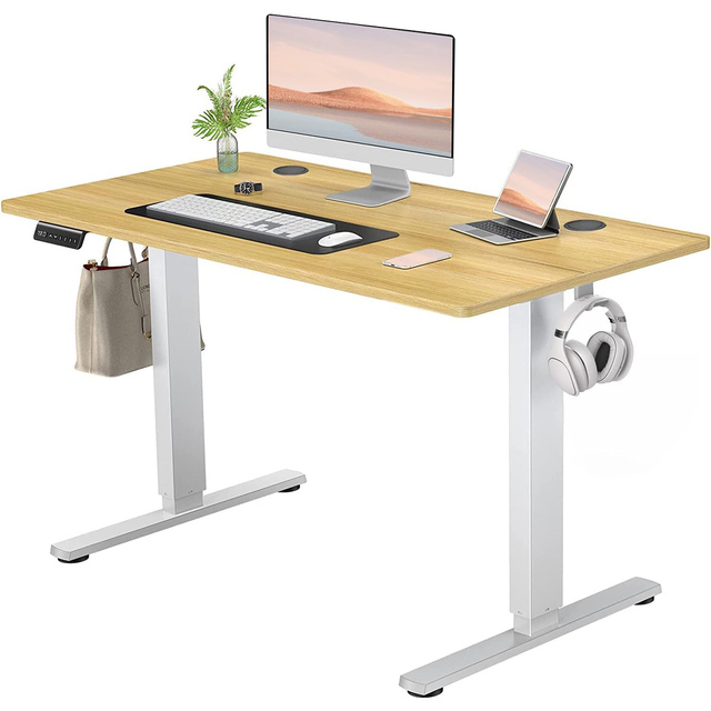 Single Motor Electric Adjustable Height PC Table Sit Standing Computer Laptop Desk Office Study Desk Frame 2 Legs Standing Desk