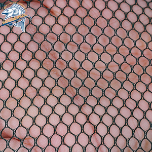 Nasse <span class=keywords><strong>de</strong></span> pêche télescopique automatique pliable portable en nylon à double nœud pour la pêche au smelt - Product Image 4