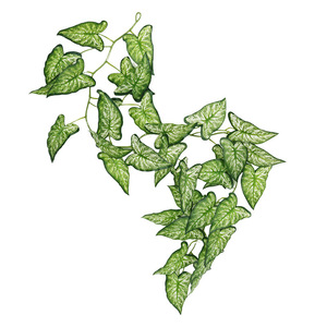 Plante verte en rotin simulé avec fleur en plastique Pipe en rotin Vigne à feuilles ombragées pour la décoration de magasin ou la vigne artificielle - Product Image 5